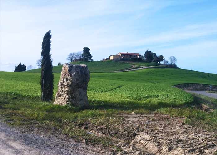 colline-toscane-b&b